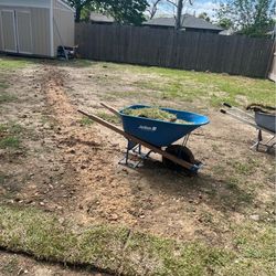 Grass for sale