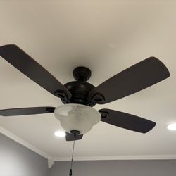 Ceiling Fans And Light (2 Available)