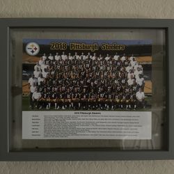 2018 Steelers Team Photo
