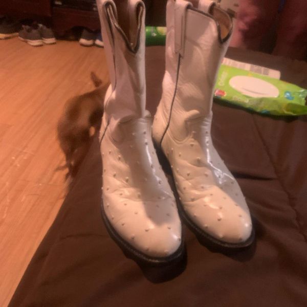 Rudell White Ostrich  Skin Boots 100$