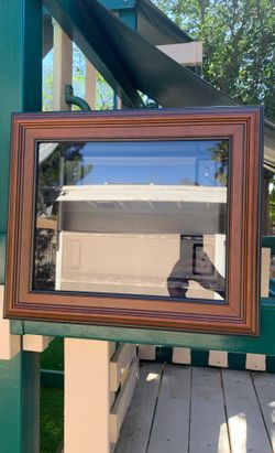 Baseball Display Case