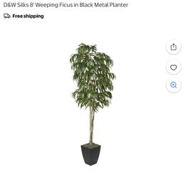 D&W Silks 8 ft Artificial Weeping Ficus Tree in Black Metal Planter