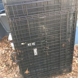 Lnew  Heavy duty large Kong pet cage with tray only $80 firm