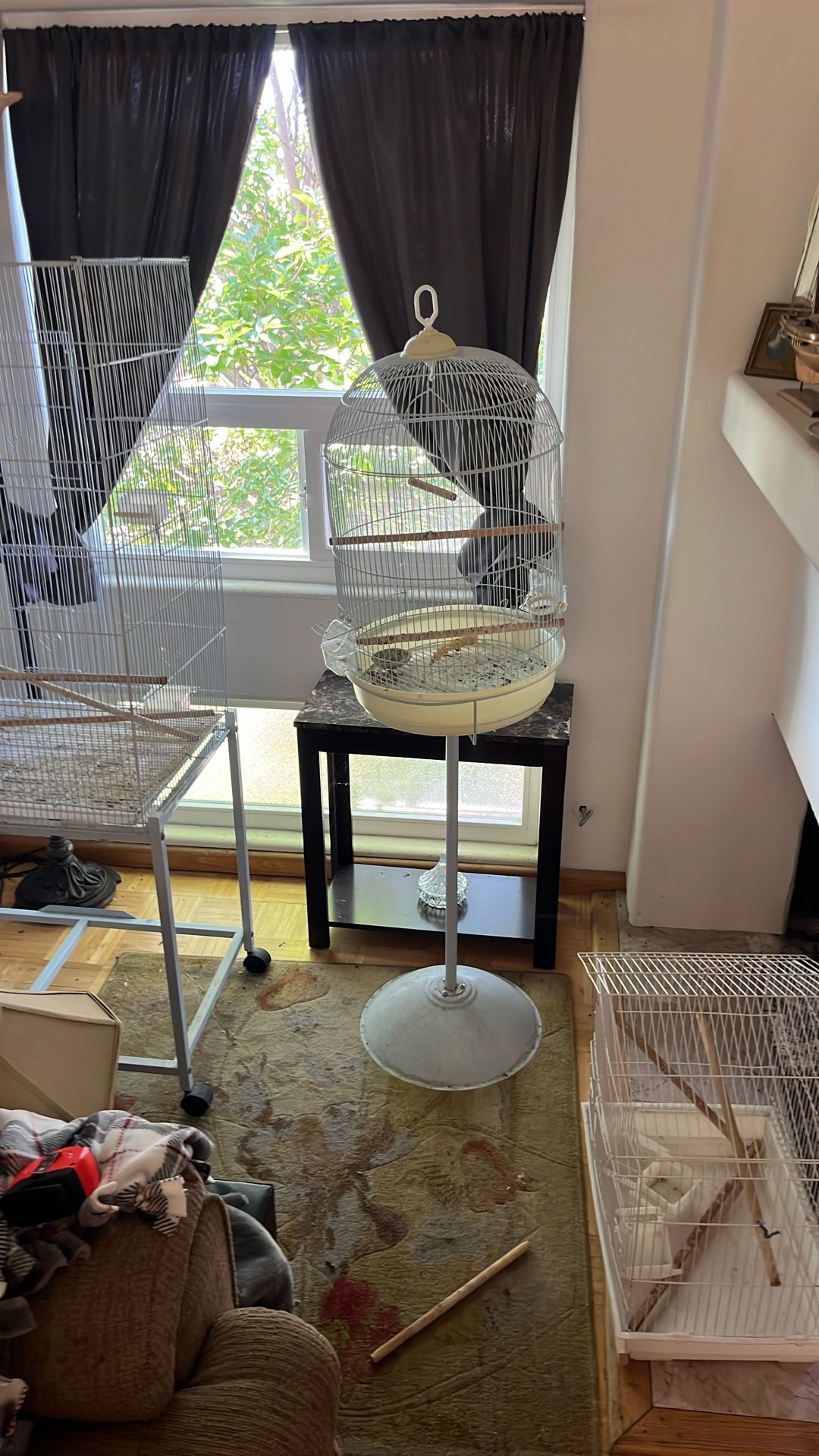 Bird Cage And Stand