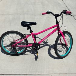 Guardian 16” Bike