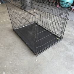 Large dog Kennel
