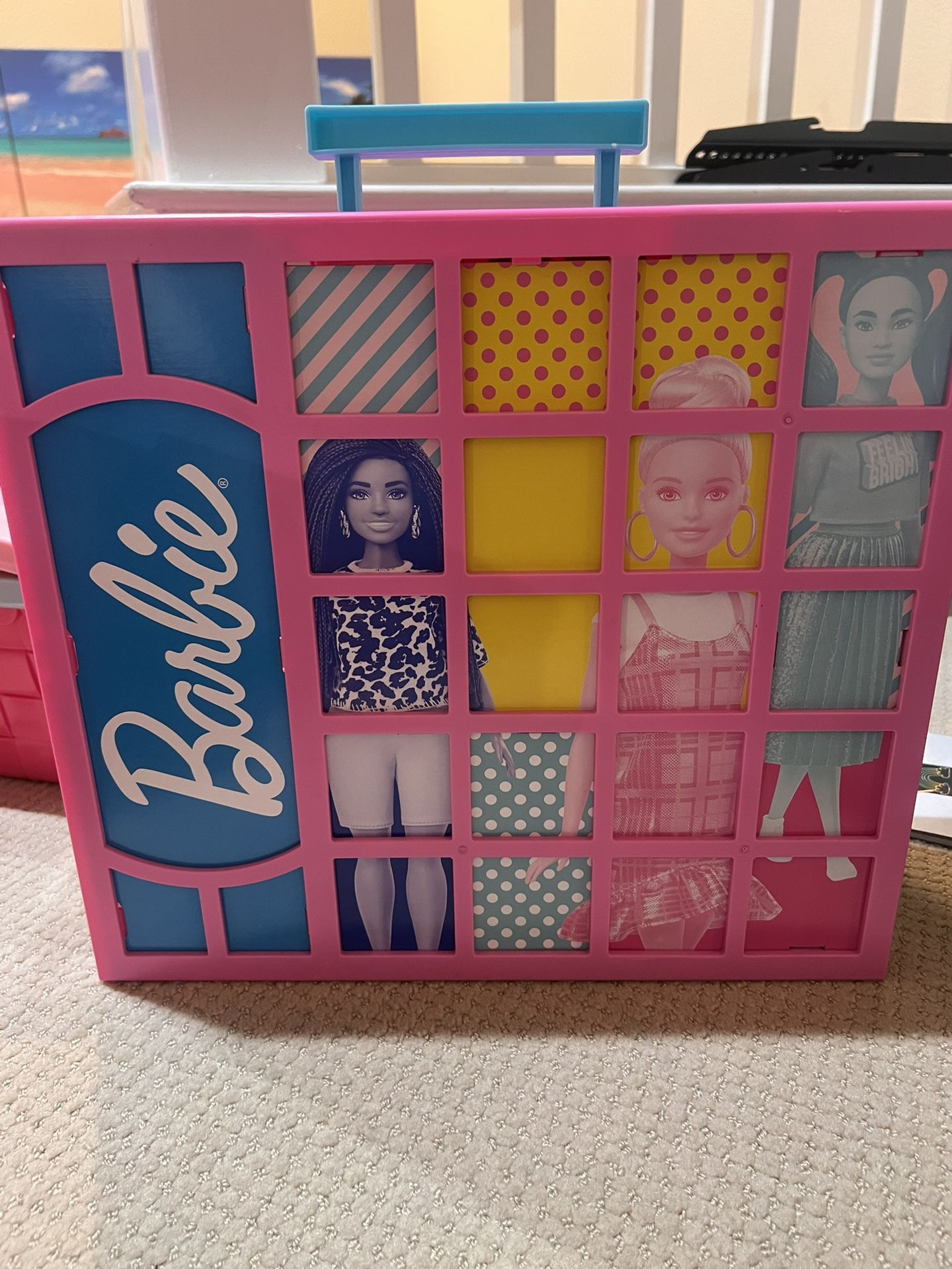 Barbie Dolls And Storage 