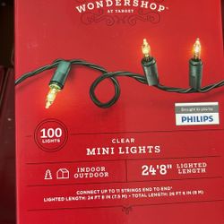Clear Christmas Lights