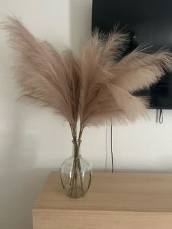 Glass vase and pampas