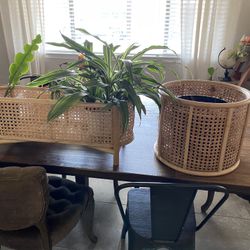 Set Of 2 Wicker Plant Holders 