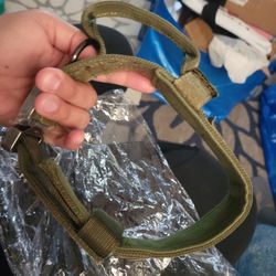 Heavy Duty Dog Collars