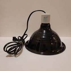Medium 8½" Reptile Heat Lamp with Switch