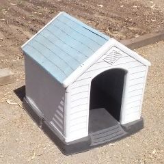 Dog House