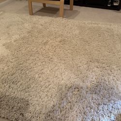 Rug High Pile White