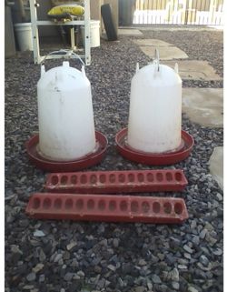 Chicken/ Chicks ... feed tray and water bins FOR SALE