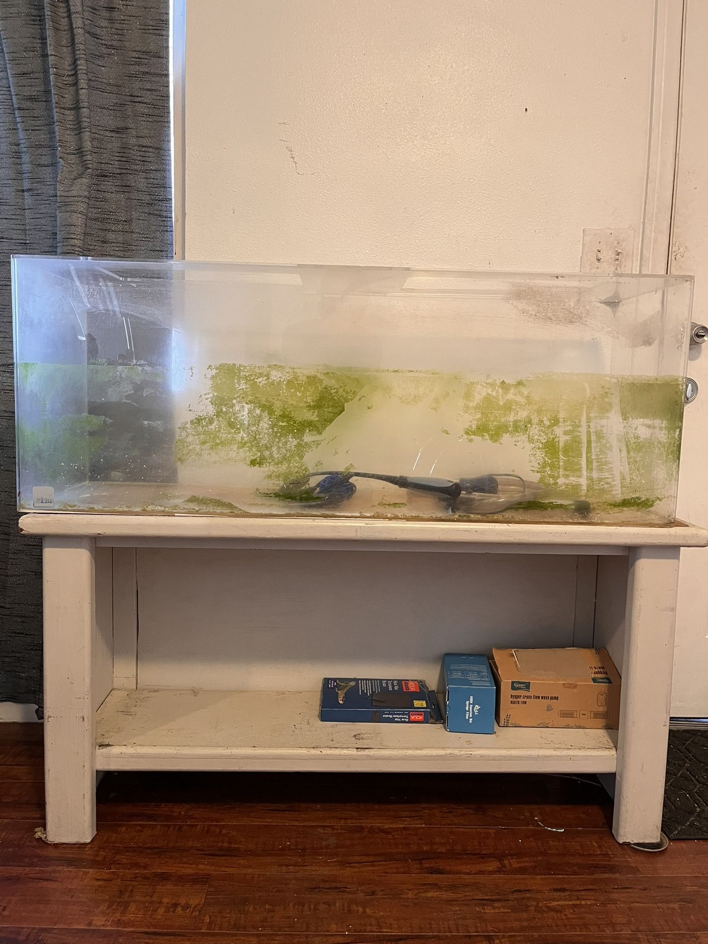 Big Fish Tank