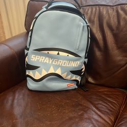 Spray Ground Backpack