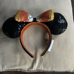 Disney Ears!!