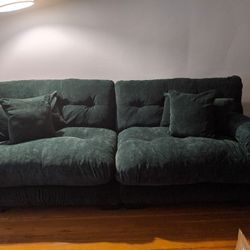 New Couch  @ $300.00