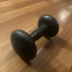 15 pound dumbbell (Single) 