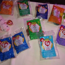 Beanie Baby Ty Collectibles 