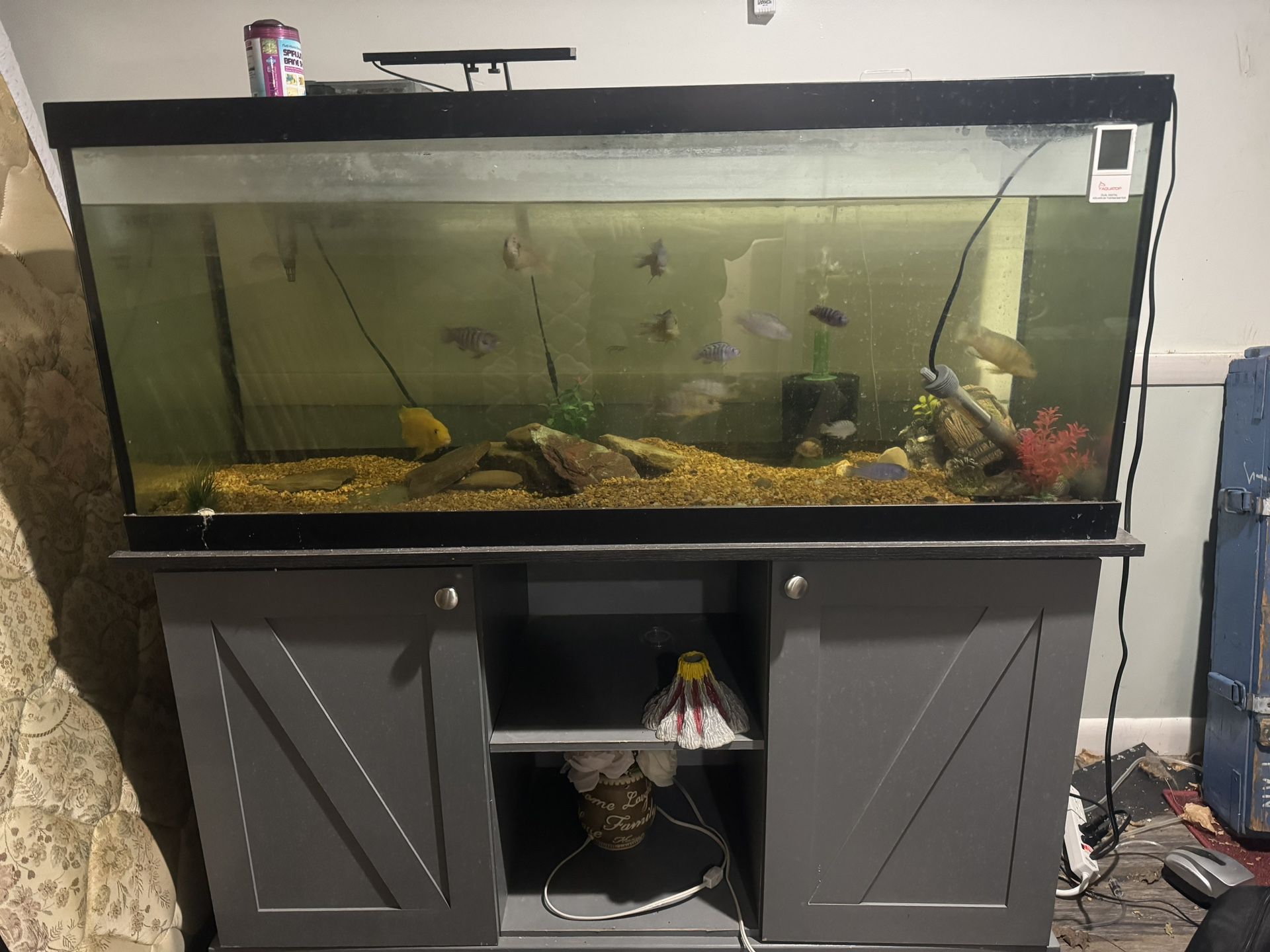 75 Gallon fish tank with stand 