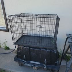 Large Crate