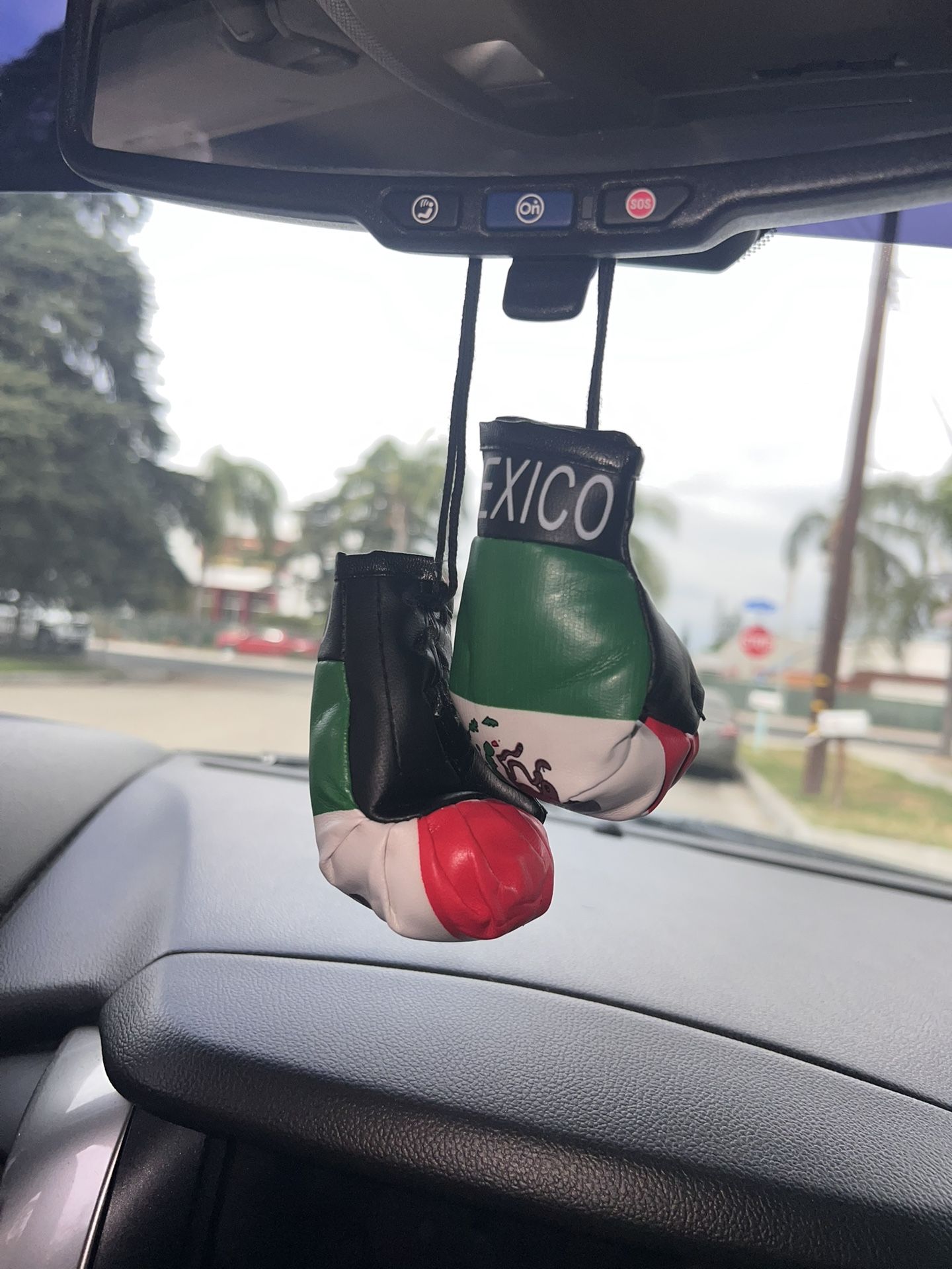 Mexico Mini Car boxing Gloves