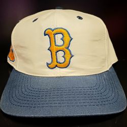 Vintage NCAA College University Of California Los Angeles UCLA Bruins Top Of The World TOW 7 1/4 Fitted Hat