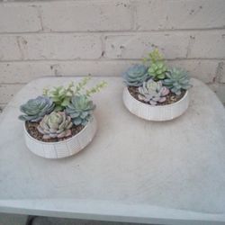 (2) Artificial Succulent Planters Home Decor 