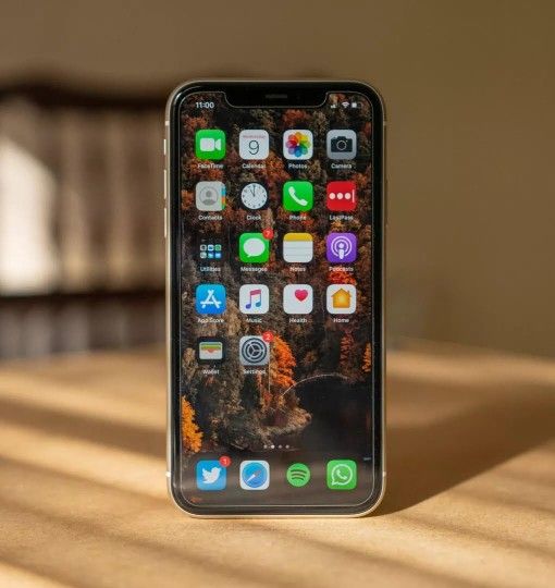 iPhone 11: Unlocked