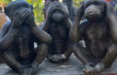 Concrete Wise Monkey
