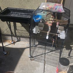 Bird Cage