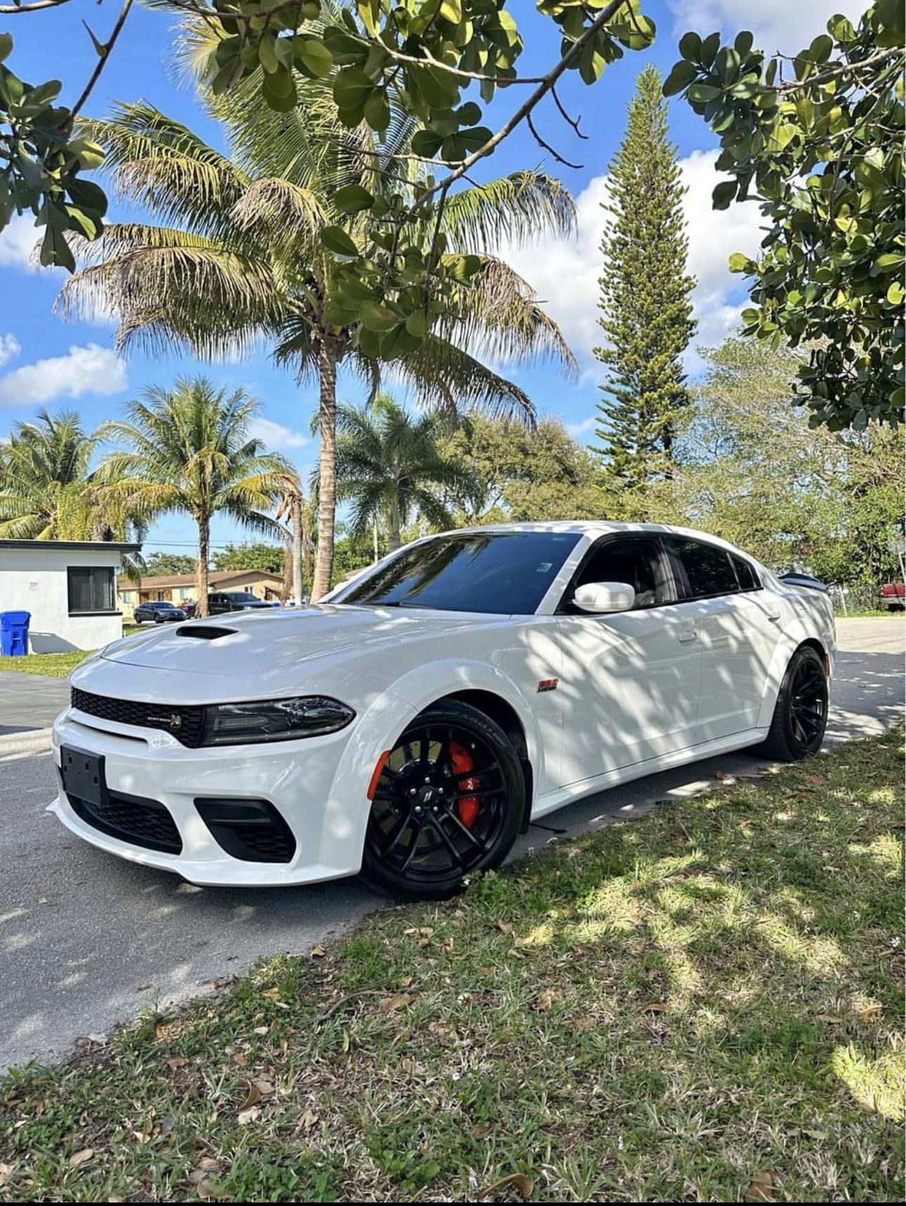 Dodge Charger Scat Pack Striker