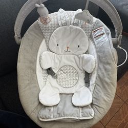 Baby Bouncer 