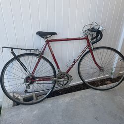 Schwinn 10 Speed 