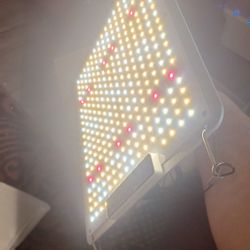 LED Grow Light