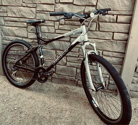 21” Giant Rincon Hybrid City Commuter Collage Campus Cruiser
