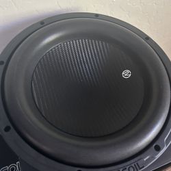 12” Subwoofer 