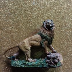 Panthera Leo Persica 