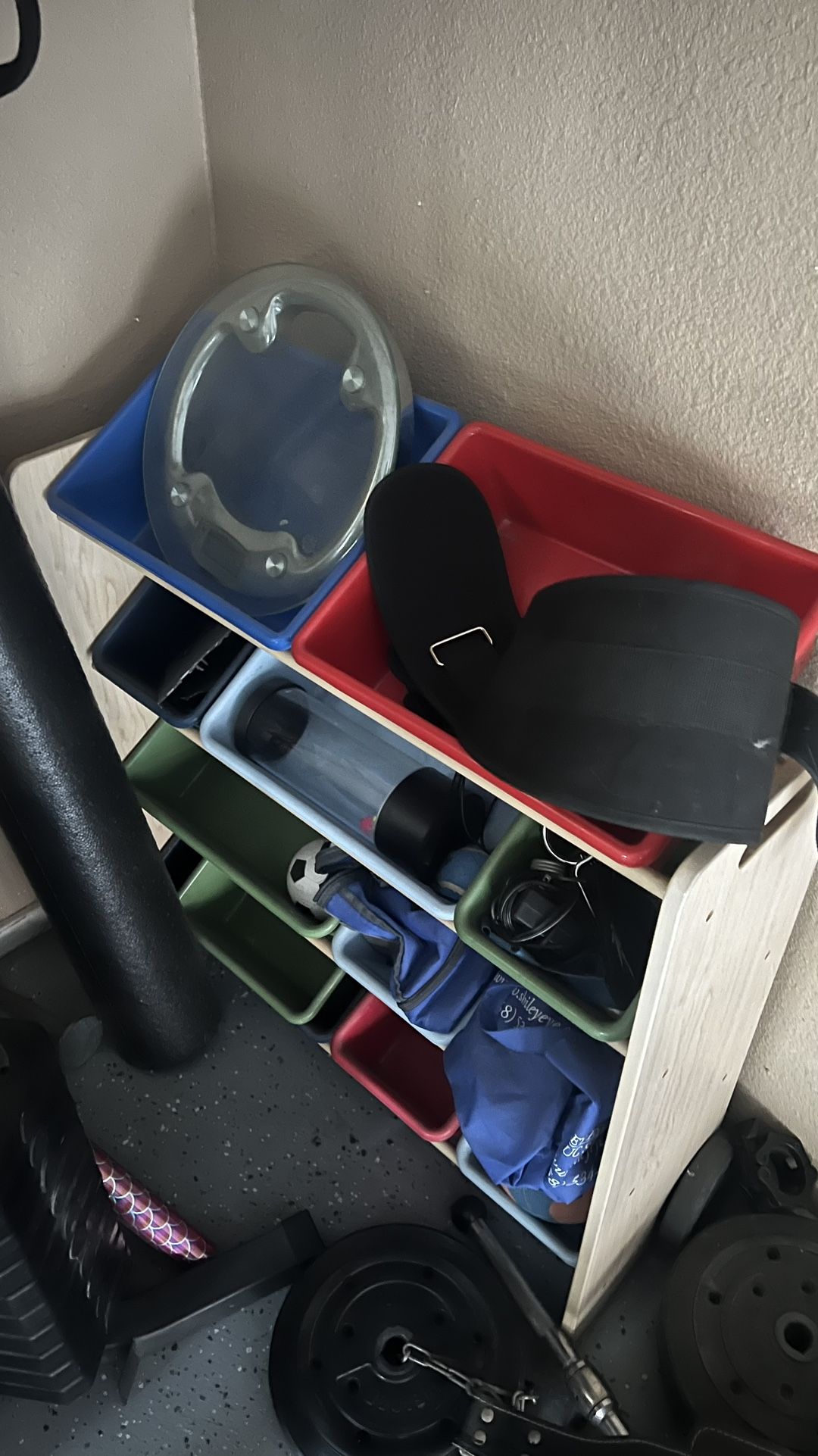 Multi-bin storage organizer with colorful removable bins