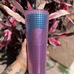 Starbucks Cups