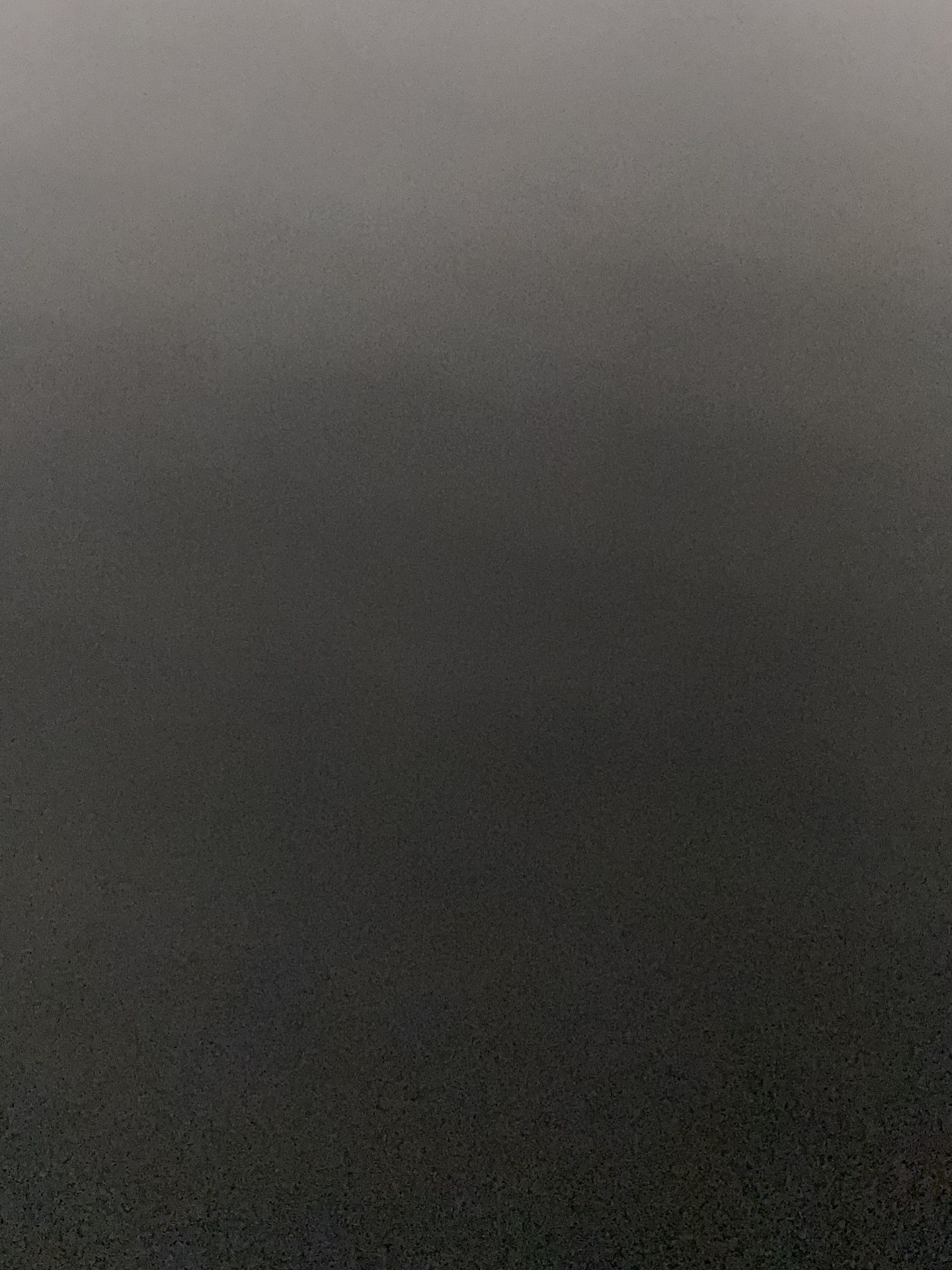 ( Pm for Info on English Bulldog Puppy ) 