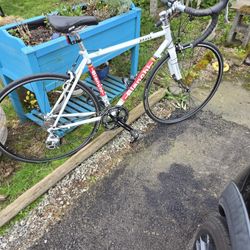 Bianchi Brava