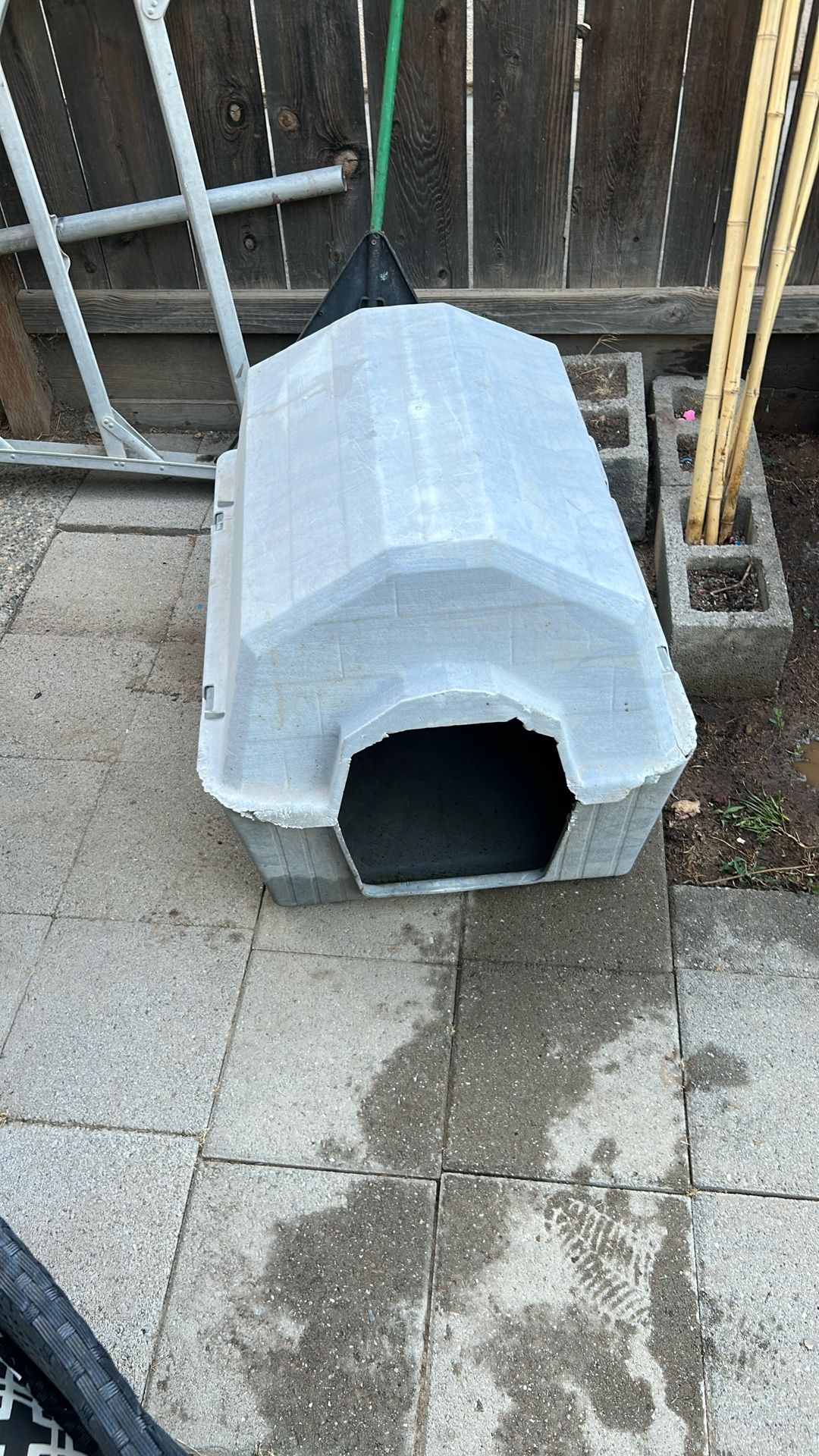 Dog House