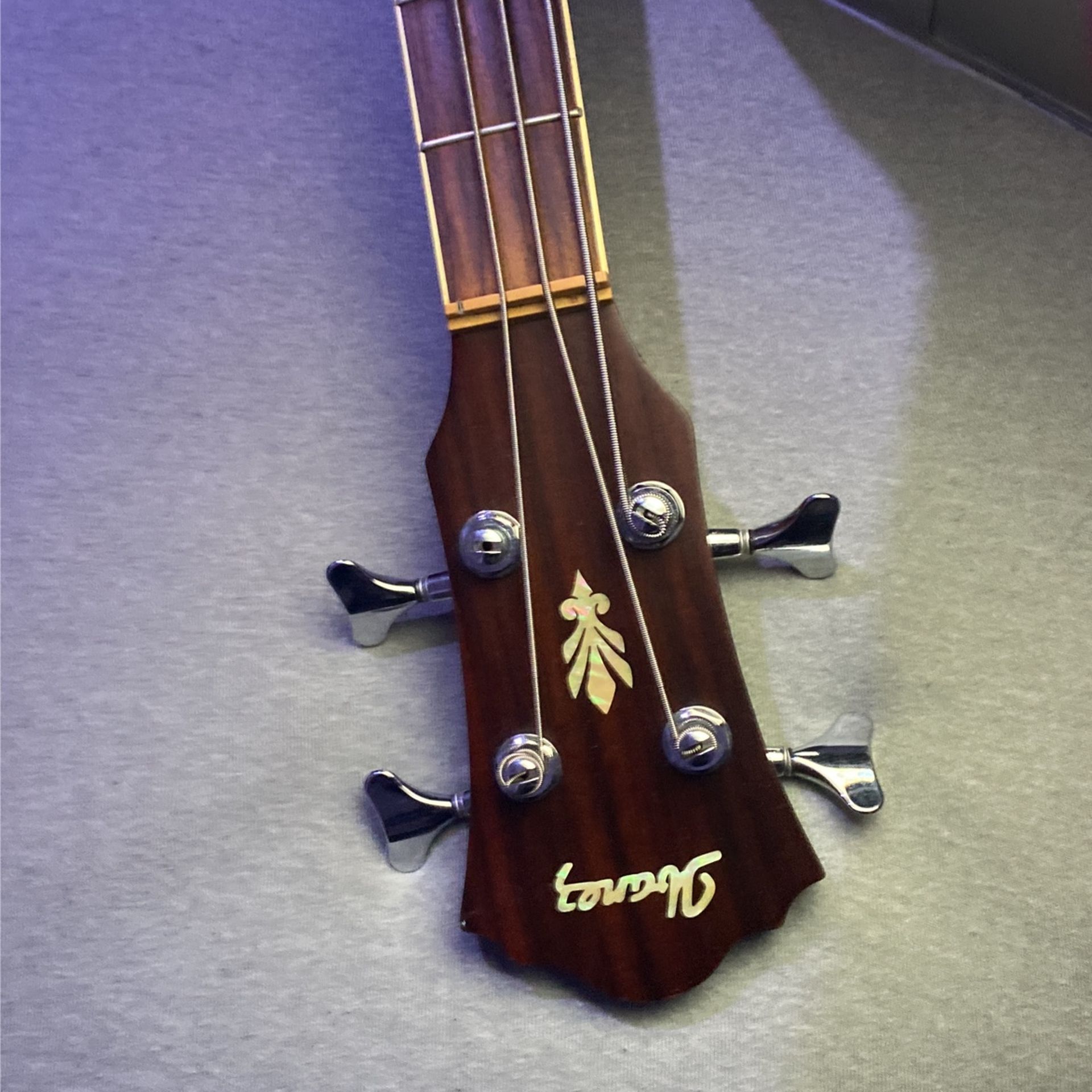 Ibanez $420 Guitar On Sale