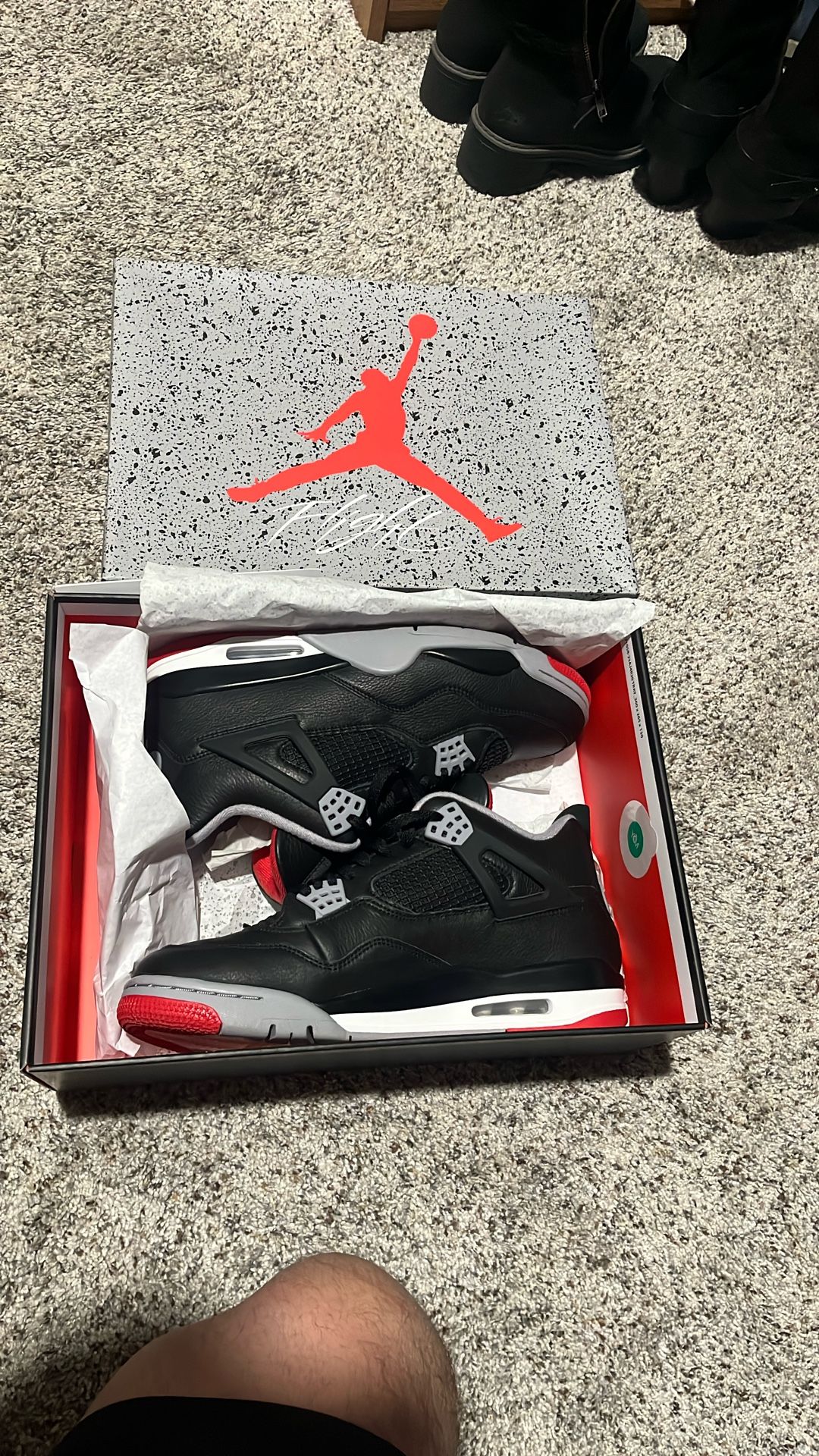 AIR JORDAN 4 BRED