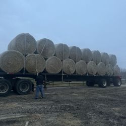 Rice Hay Bales