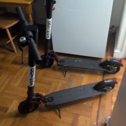 Gotrax Scooter