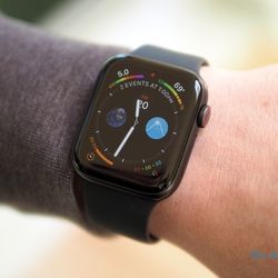 Apple Watch Series 5 (GPS + Cellular) 44mm Stainless Steel Smartwatch